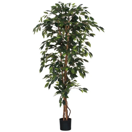 Mica® Decorations Kunstpflanze, Ficus Benjamina, Grün 3 Mica® Decorations Kunstpflanze, Ficus Benjamina, Grün