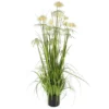 Mica® Decorations Kunstpflanze, Federgras Pom Pom, Grün/creme 1 Mica® Decorations Kunstpflanze, Federgras Pom Pom, Grün/creme -Wohnen Wohndeko Verkäufe unnamed file 2774