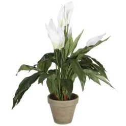 Mica® Decorations Kunstpflanze, Spathiphyllum, Weiß