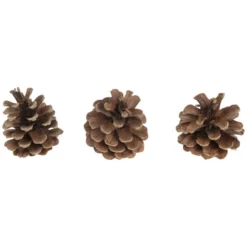CASAYA Basteln Kiefernzapfen Natur, 250 G