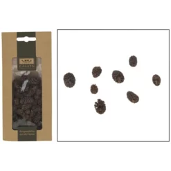 CASAYA Basteln Minizapfe Braun, 50 G