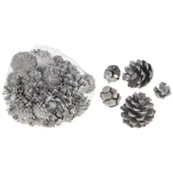 CASAYA Basteln Zapfen Weiß, 400 G