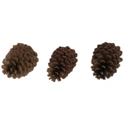 CASAYA Basteln Zapfen Natur, 3 Stück