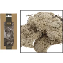 CASAYA Basteln Moos Natur, 40 G