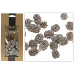 CASAYA Basteln Zapfen Naturweiß, 100 G