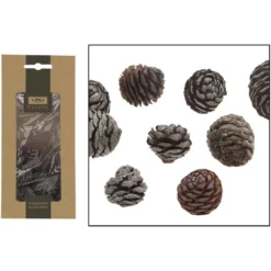 CASAYA Basteln Zapfen Natur, 85 G