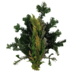 Koniferenzweige, Koniferenmix Handbunde, 900 G
