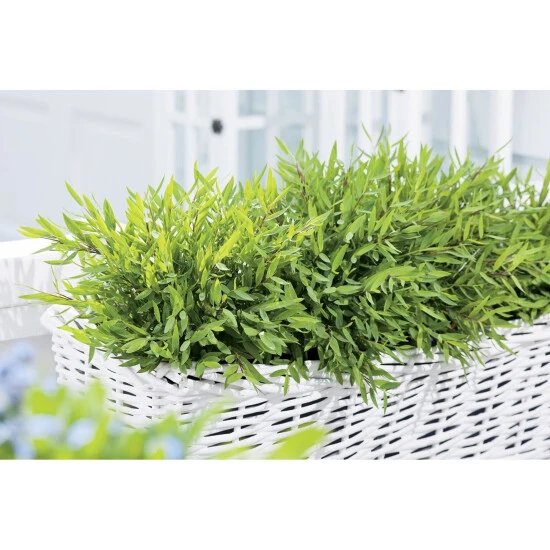 Gartenkrone Zimmerbambus, Pogonatherum Paniceum »Monica« 4 Gartenkrone Zimmerbambus, Pogonatherum Paniceum »Monica« – Bild 2