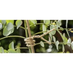 WINDHAGER Bindedraht, Länge: 0,1 M, Jute, Hellbraun