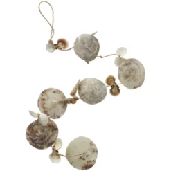 Girlande, Muschel, Natur