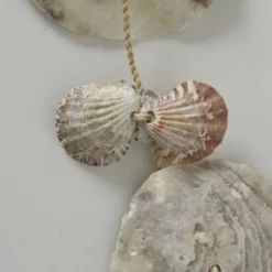 Girlande, Muschel, Natur -Wohnen Wohndeko Verkäufe unnamed file 4056