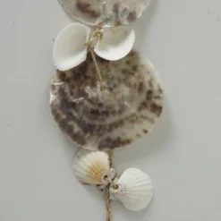 Girlande, Muschel, Natur -Wohnen Wohndeko Verkäufe unnamed file 4057