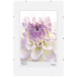 Walter Design Bilderrahmen, BxL: 50 X 70 Cm, Glas