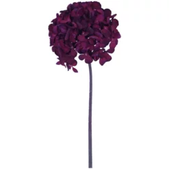 Seidenblume, Hortensie, Weinrot