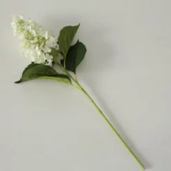 Stielblume, Hortensie, Bunt -Wohnen Wohndeko Verkäufe unnamed file 4217