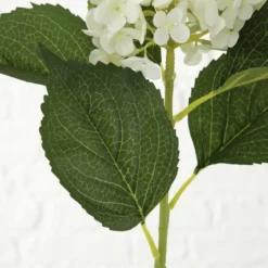 Stielblume, Hortensie, Bunt -Wohnen Wohndeko Verkäufe unnamed file 4218