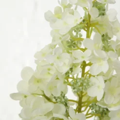 Stielblume, Hortensie, Bunt -Wohnen Wohndeko Verkäufe unnamed file 4219