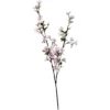 Seidenblume, Kirschblüte, Pink -Wohnen Wohndeko Verkäufe unnamed file 4238