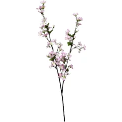 Seidenblume, Kirschblüte, Pink