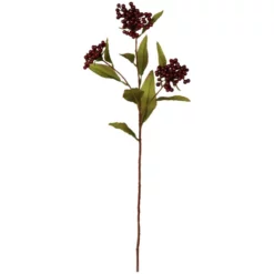 Seidenblume, Beerenzweig, Rot/schwarz