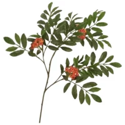 Seidenblume, Beerenzweig, Orange