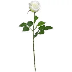 Seidenblume, Rose, Creme