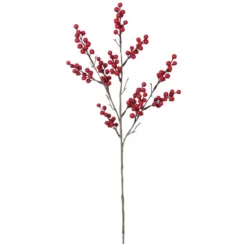 Seidenblume, Beerenzweig, Rot