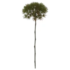 Seidenblume, Fenchelzweig, Braun/grün