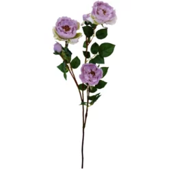 Seidenblume, Englische Rose, Altrosa