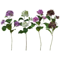 Seidenblume, Hortensie, Mehrfarbig