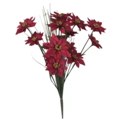 Seidenblume, Weihnachtsstern, Rot