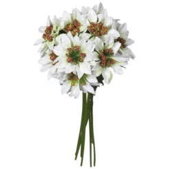 Seidenblume, Mini-Weihnachtsstern, Creme