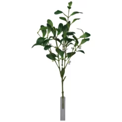 Seidenblume, Mistelzweig, Mehrfarbig