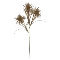 Seidenblume, Sea Holly, Goldfarben