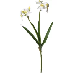 Seidenblume, Narzisse, Weiß/gelb