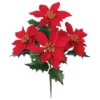 Seidenblume, Poinsettia, Rot