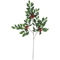 Seidenblume, Beerenzweig, Rot