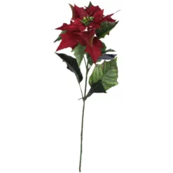 Seidenblume, Weihnachtsstern, Rot