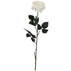 Seidenblume, Englische Rose, Creme