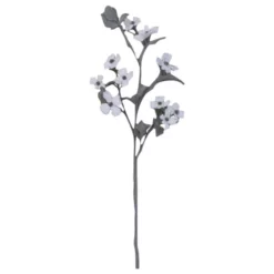 Seidenblume, Magnolie, Mit Schnee, Weiß