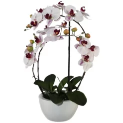 Kunstblume »Phalaenopsis 3D-Print In Keramikschale«, Kunststoff, Rosa