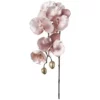 Kunstblume, Phalenopsis Velvet, Rosa -Wohnen Wohndeko Verkäufe unnamed file 4618