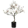 Kunstblume, Magnolienbaum, Beschneit, Weiß -Wohnen Wohndeko Verkäufe unnamed file 4622