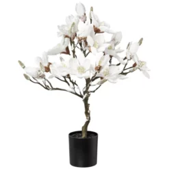 Kunstblume, Magnolienbaum, Beschneit, Weiß