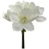 Kunstblume, Amaryllis, Weiß -Wohnen Wohndeko Verkäufe unnamed file 4623