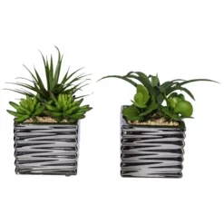 Kunstblume, Sukkulenten, Grün