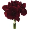 Kunstblume, Amaryllis-Bund, Dunkelrot -Wohnen Wohndeko Verkäufe unnamed file 4631