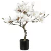 Kunstblume, Magnolienbaum, Beschneit, Weiß -Wohnen Wohndeko Verkäufe unnamed file 4637