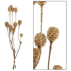 DIJK NATURAL COLLECTIONS Deko-Objekt, Holz, Natur