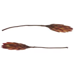 DIJK NATURAL COLLECTIONS Deko-Objekt, Holz, Rot